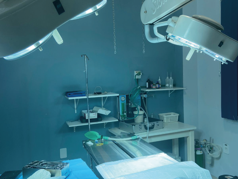Cirurgia veterinária